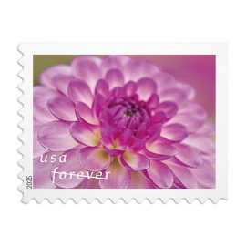 Dahlias Stamps, Book of 20