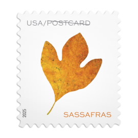 Vibrant Leaves Postcard Stamps, Sheet