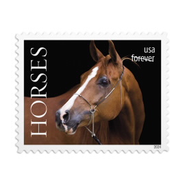 Horses Stamps, Sheet of 20